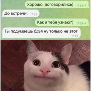 Test Custom Options #4